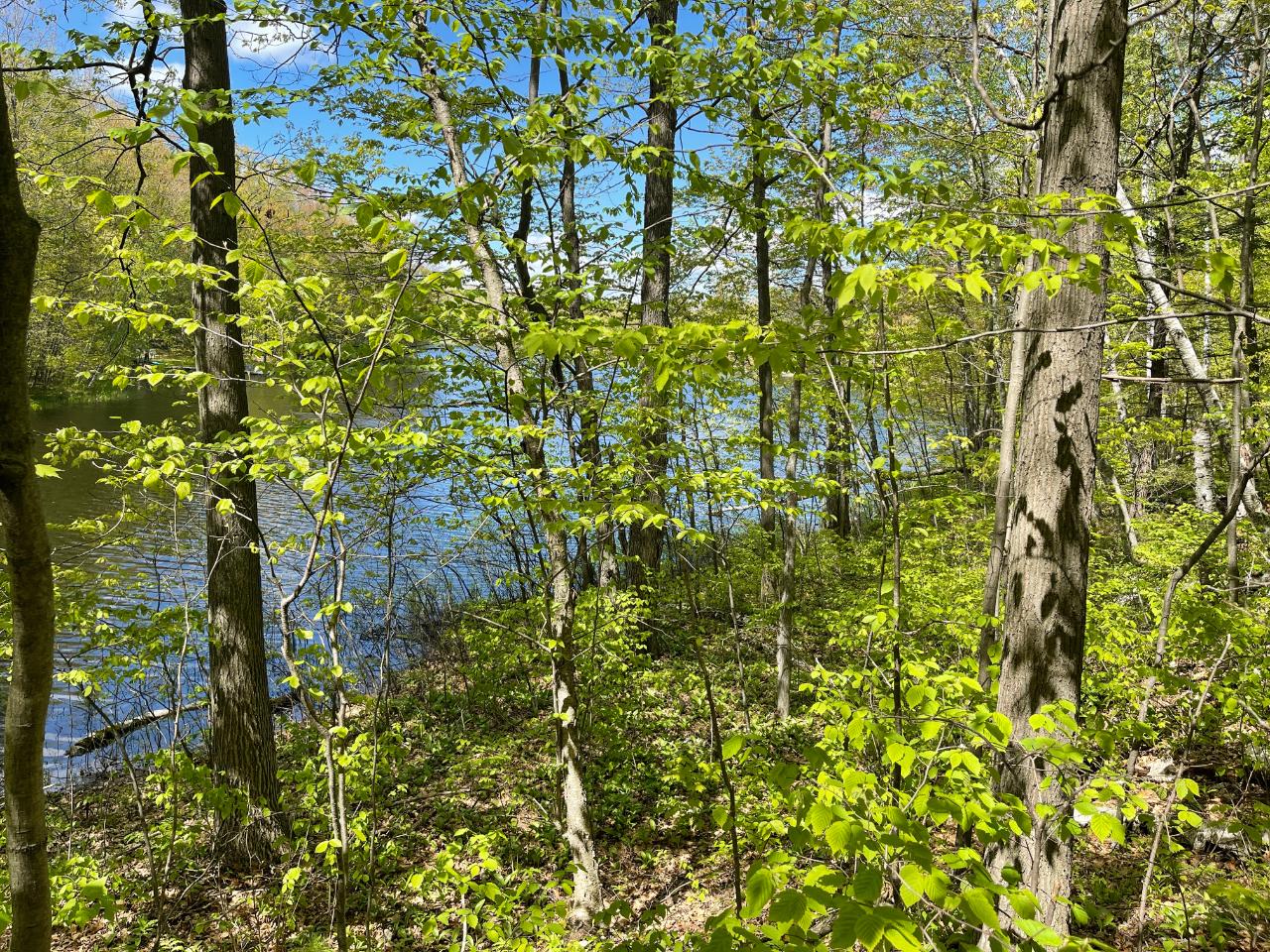 On On Shore Rd Summit Lake Summit Lake, WI 54485 - Photo 9 of 13 Gallery Image 9