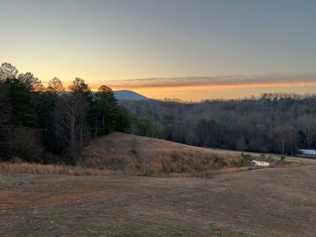 1151 Welcome Valley Road Benton, TN 37307 - Photo 63 of 67 Welcome 68