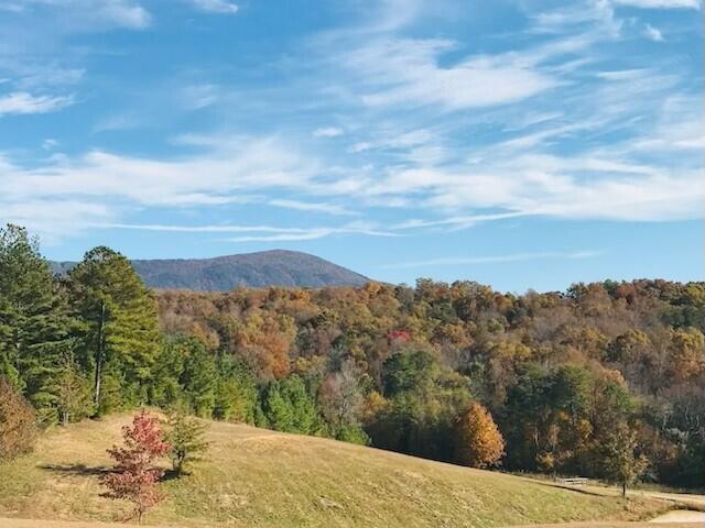 1151 Welcome Valley Road Benton, TN 37307 - Photo 64 of 67 welcome 69