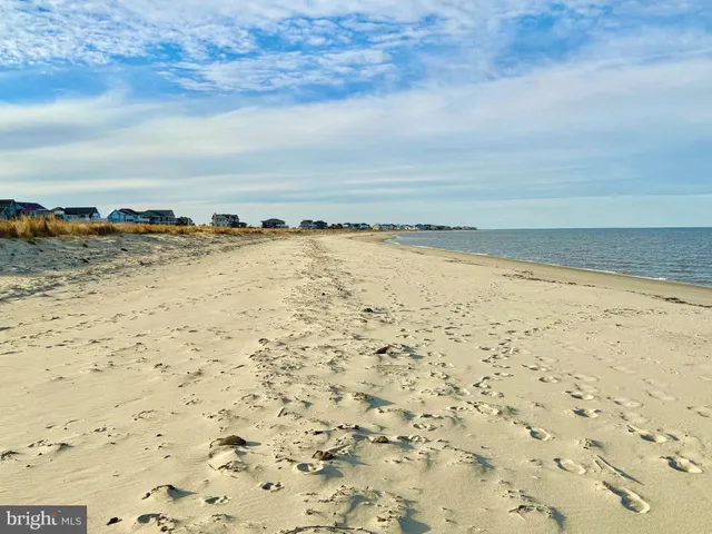 a view of a yard with an outdoor space