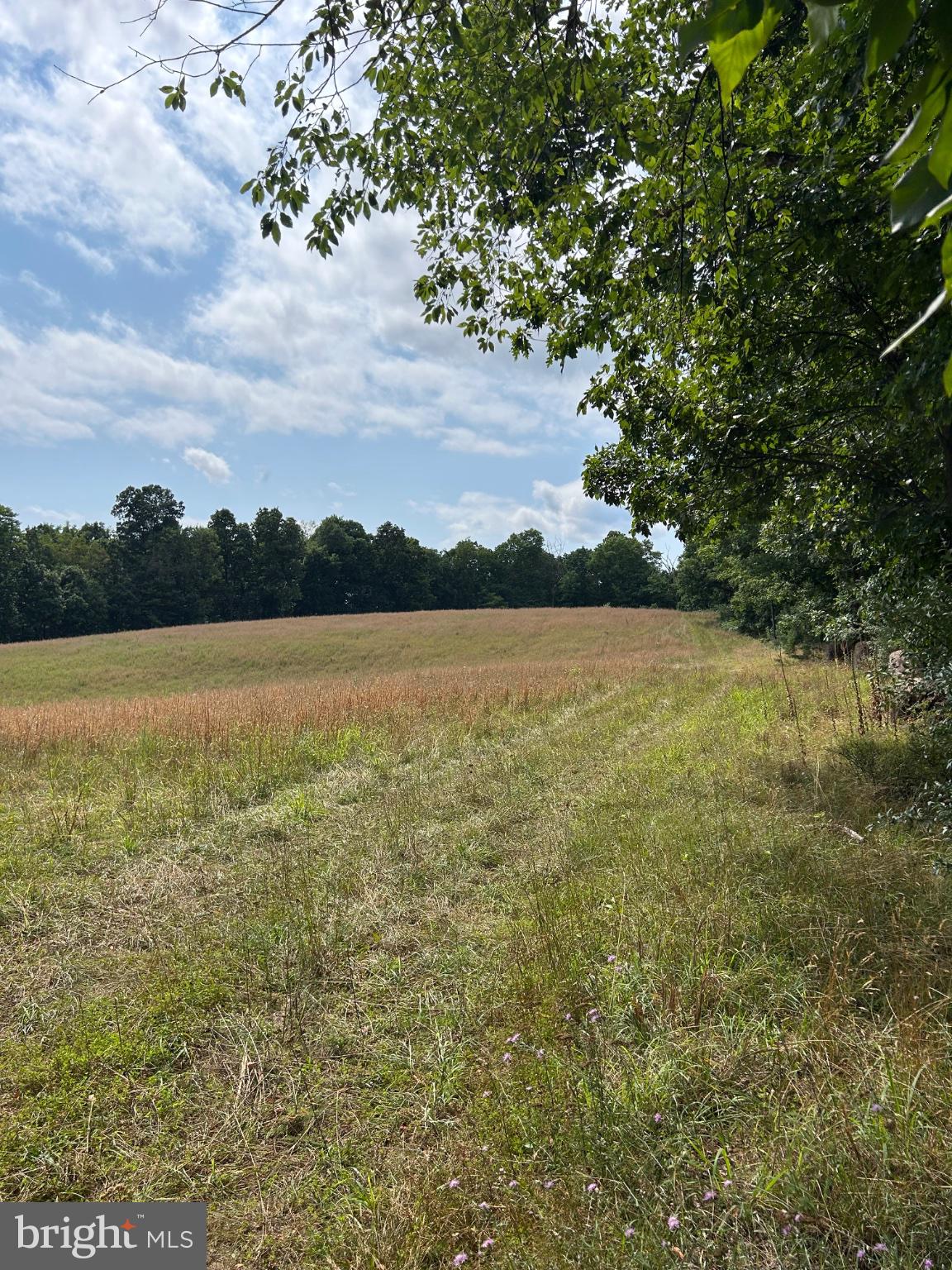 Brush Creek Road Cross Junction, VA 22625 - Photo 5 of 13 Serene meadow under a blue sky.