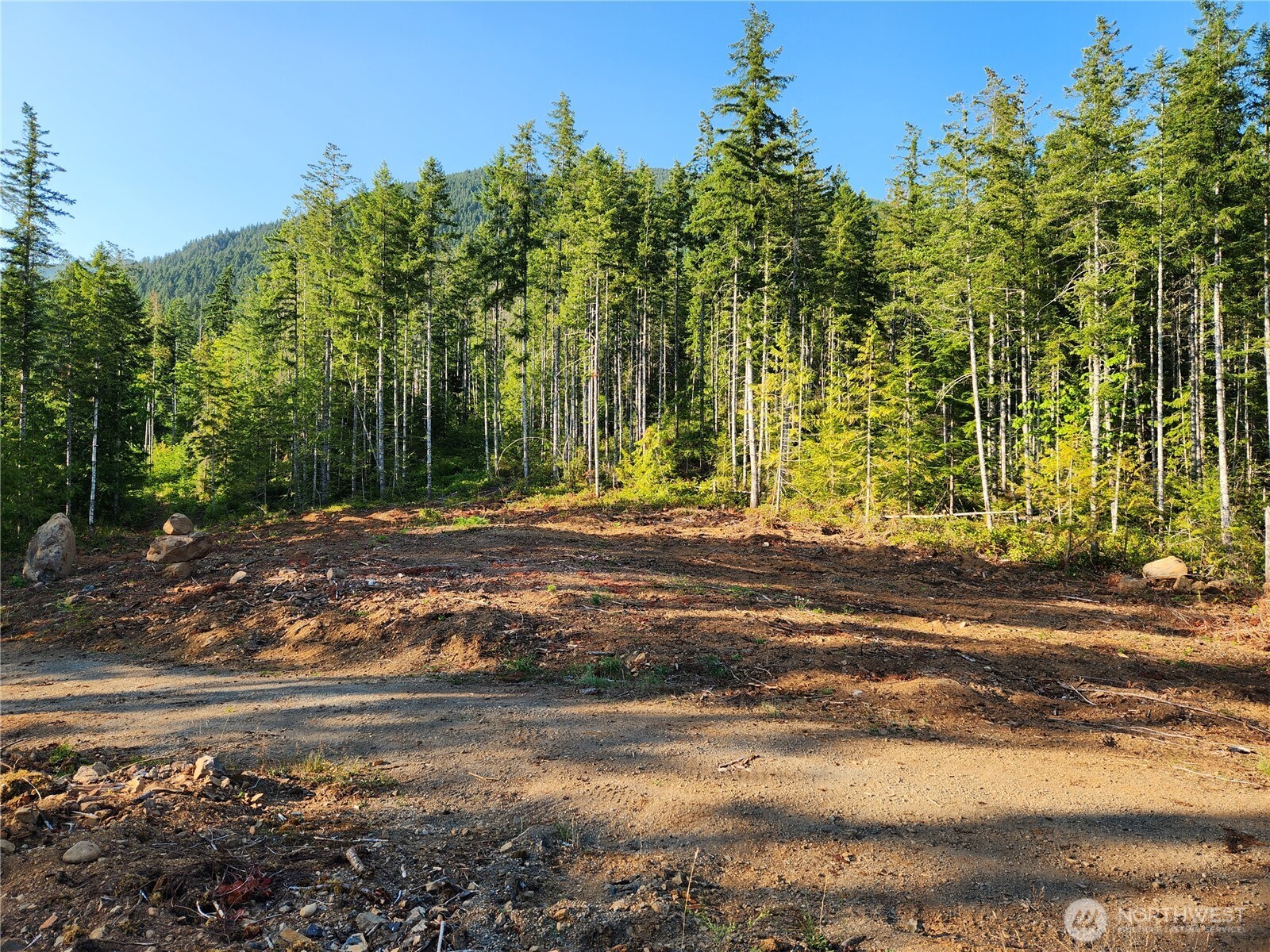 0 Rocky Brook Road, Unit LOT H Brinnon, WA 98320 - Photo 1 of 4 a backyard of a house with lots of green space