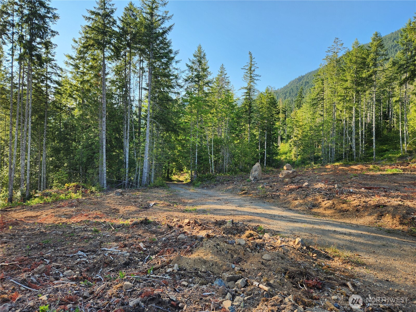 0 Rocky Brook Road, Unit LOT H Brinnon, WA 98320 - Photo 2 of 4 a view of a yard with tree s