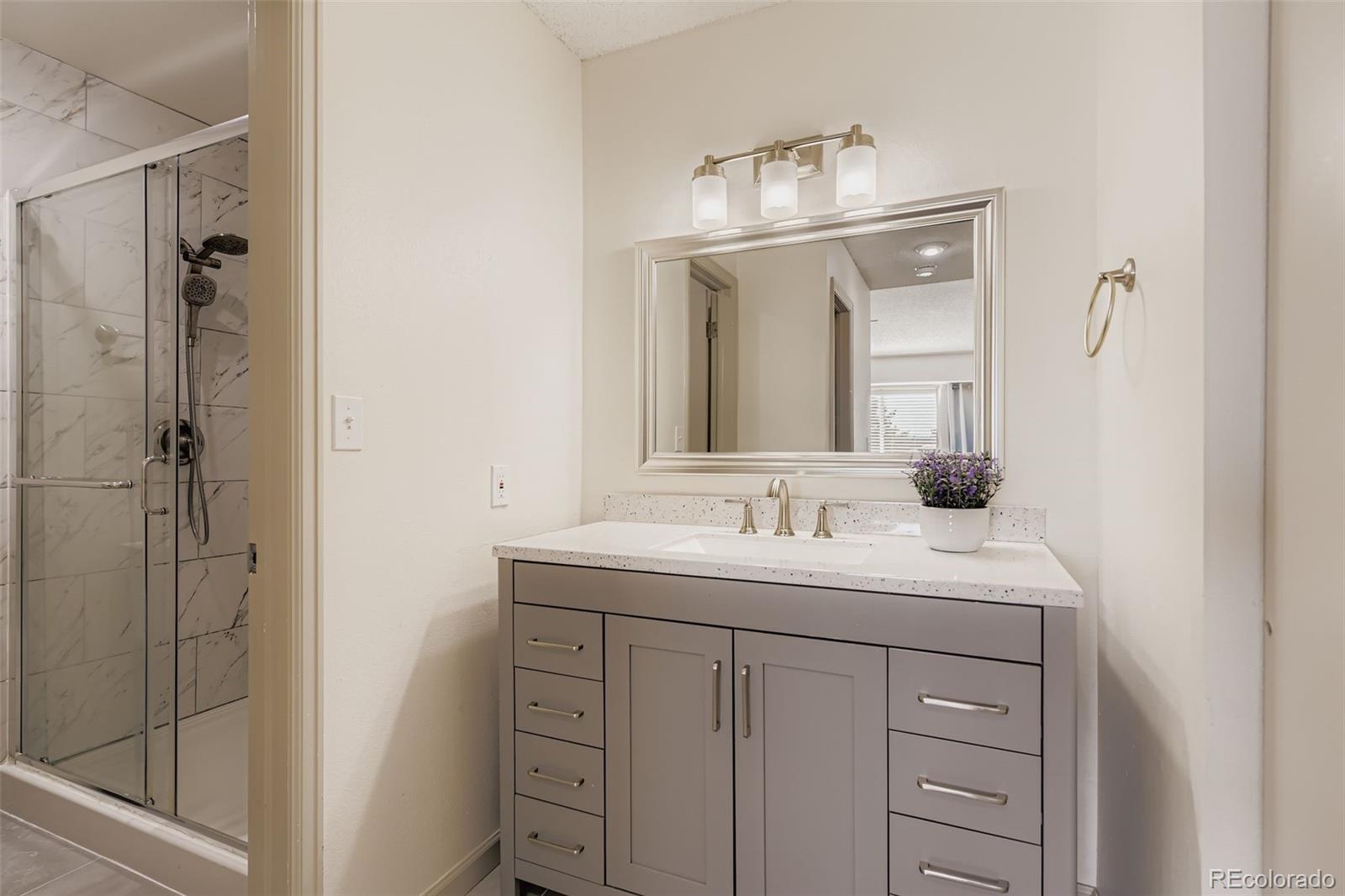 331 Mountain Chickadee Road Highlands Ranch, CO 80126 - Photo 17 of 39 Gallery Image 17