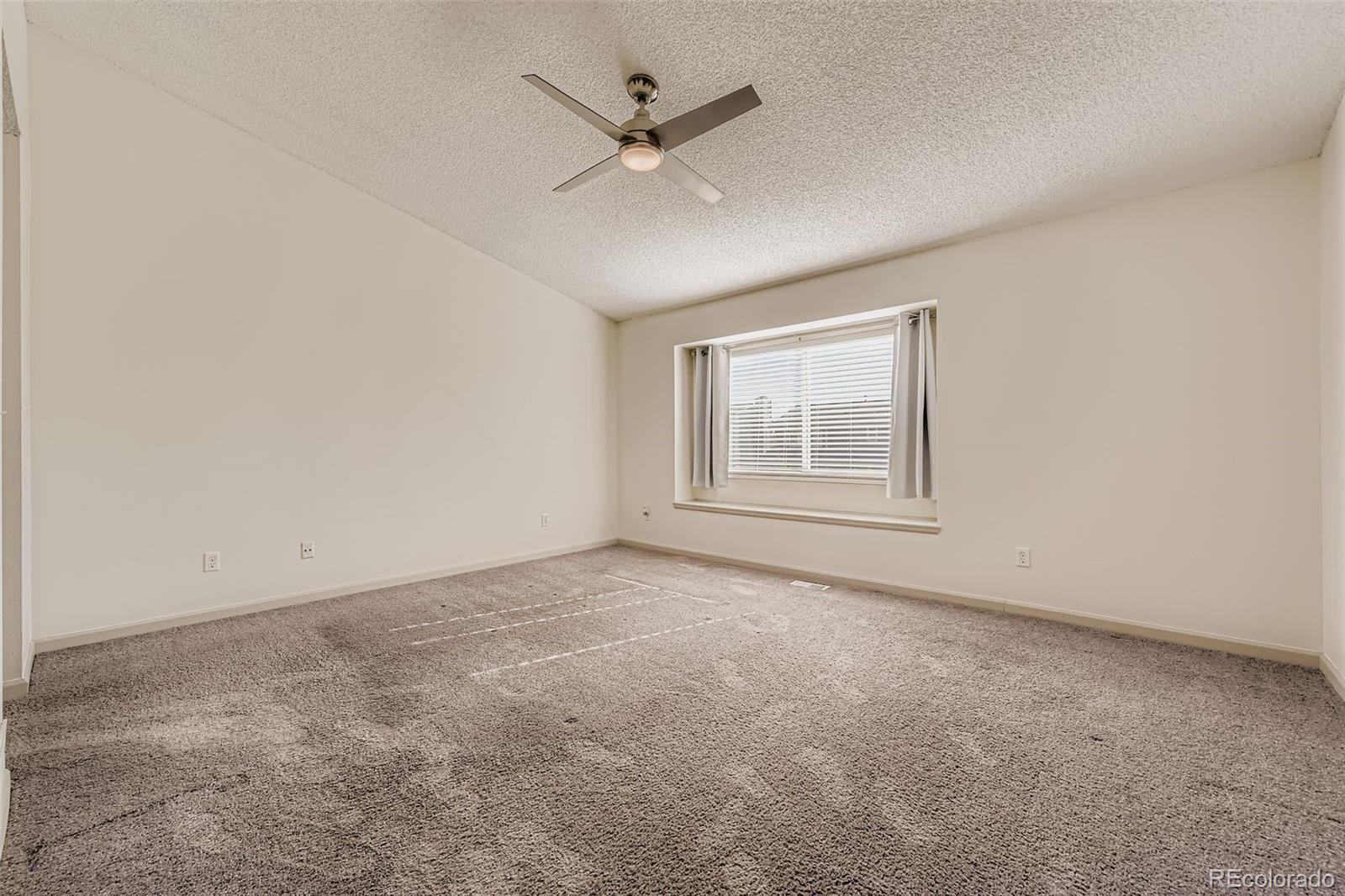 331 Mountain Chickadee Road Highlands Ranch, CO 80126 - Photo 19 of 39 Gallery Image 19