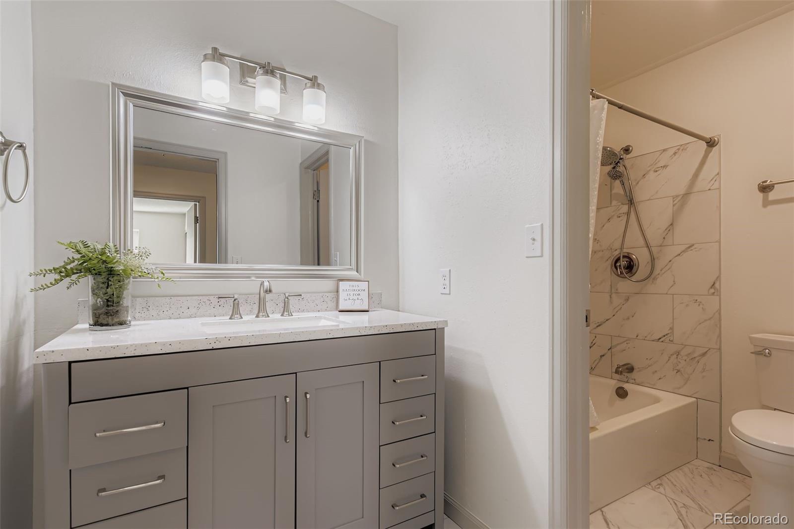 331 Mountain Chickadee Road Highlands Ranch, CO 80126 - Photo 23 of 39 Gallery Image 23