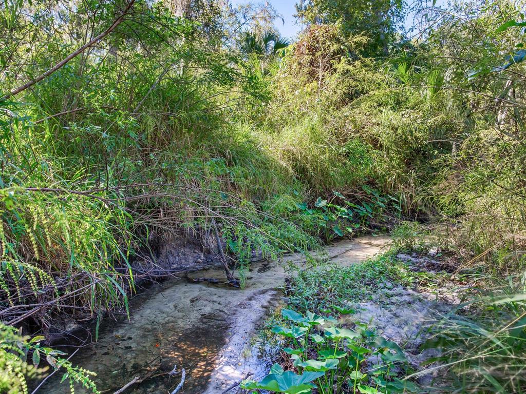 Drawdy Road Plant City, FL 33567 - Photo 19 of 30 Gallery Image 19