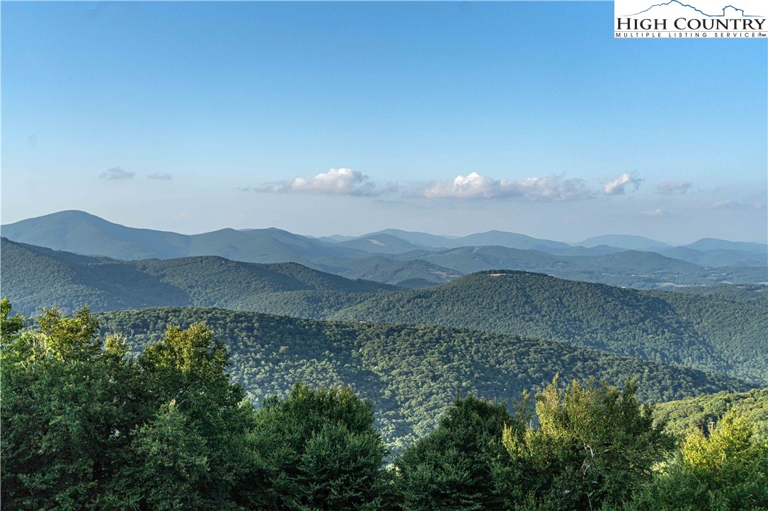 1407 Almost Heaven Road Boone, NC 28607 - Photo 15 of 32