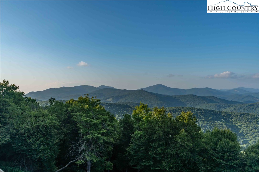 1407 Almost Heaven Road Boone, NC 28607 - Photo 16 of 32