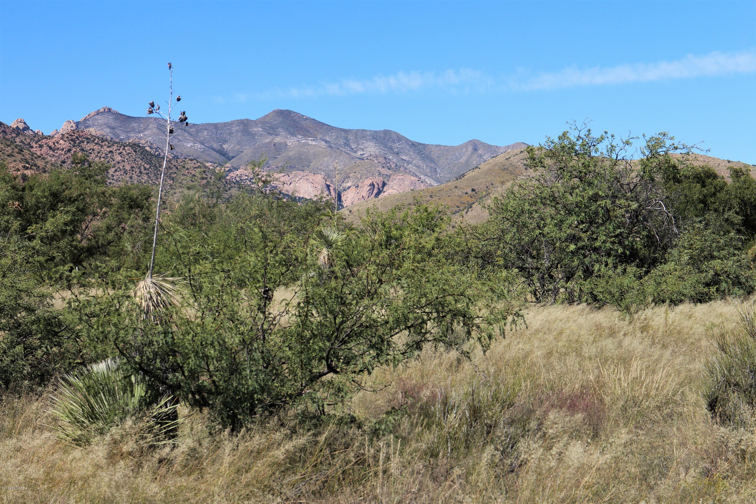 West Pearce Road, Unit 168 Pearce, AZ 85625 - Photo 9 of 12 Gallery Image 9