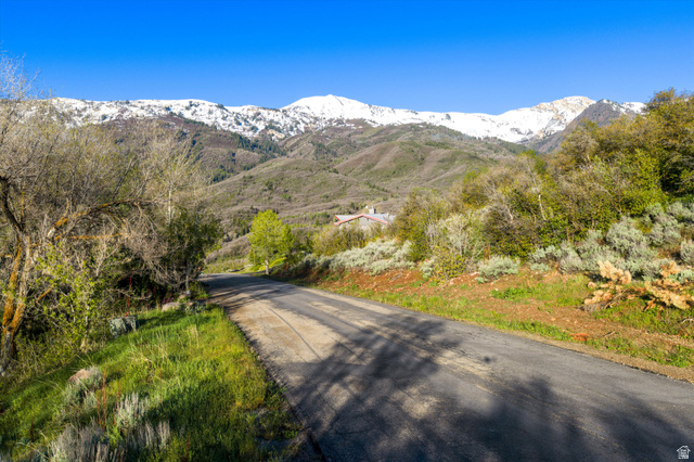 6975 North Durfee Way, Unit 20 Eden, UT 84310 - Photo 10 of 15 Paved road winding through a verdant landscape with diverse foliage, featuring distant snow-capped mountains and a structure nestled in the hillside