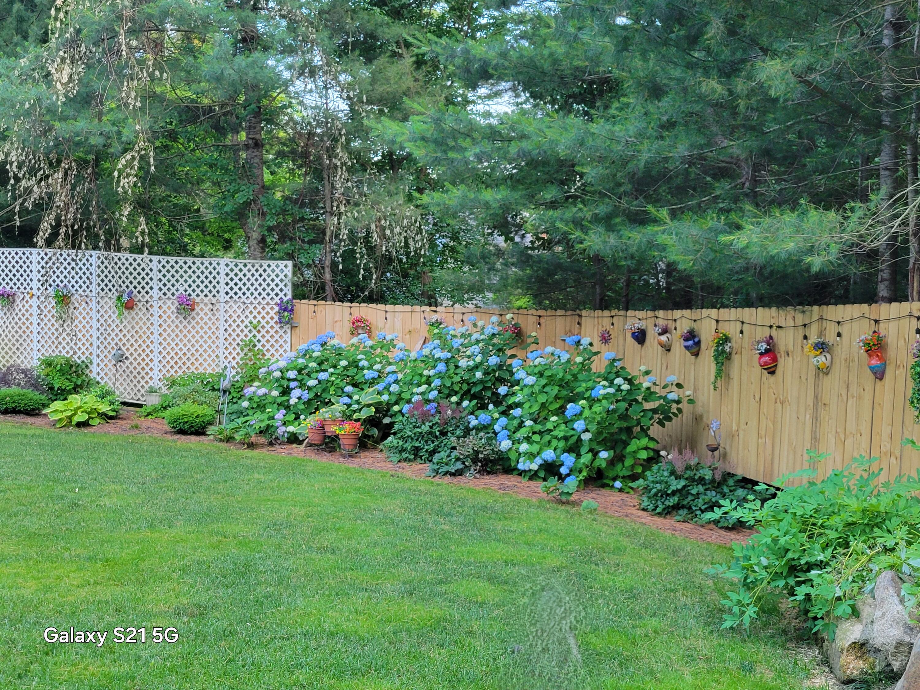 65 Black Oak Road Marstons Mills, MA 02648 - Photo 39 of 45 20240625_190343 no dog