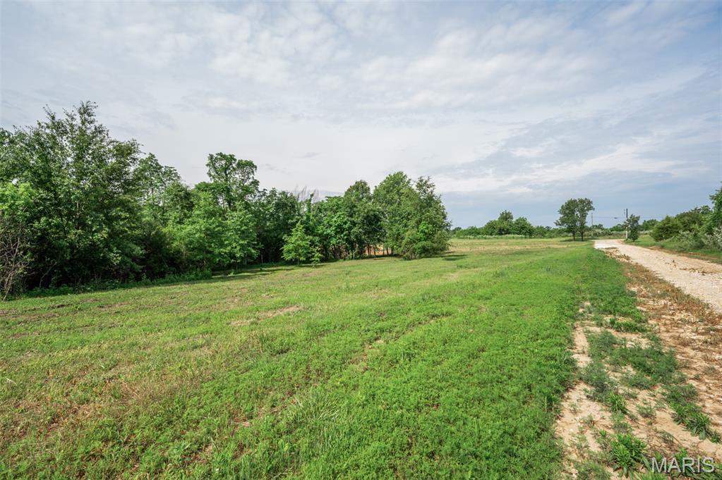 8 Halyon Estates Perry, MO 63462 - Photo 6 of 28