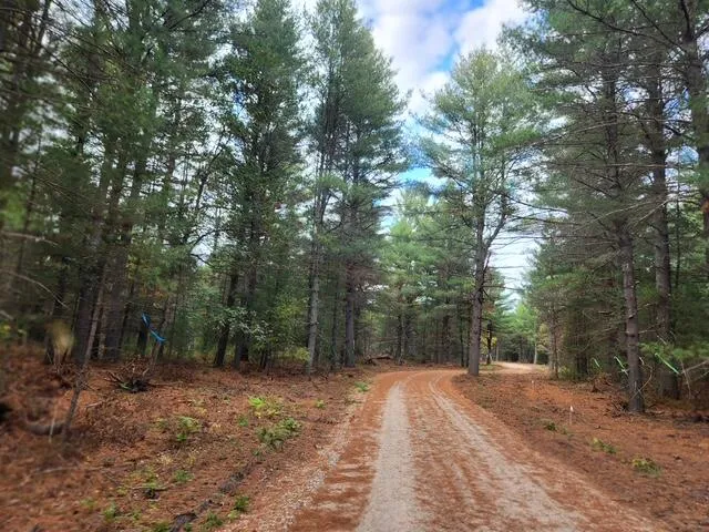 $32,900 | Parcel R West 12th Street, Baldwin, MI 49304