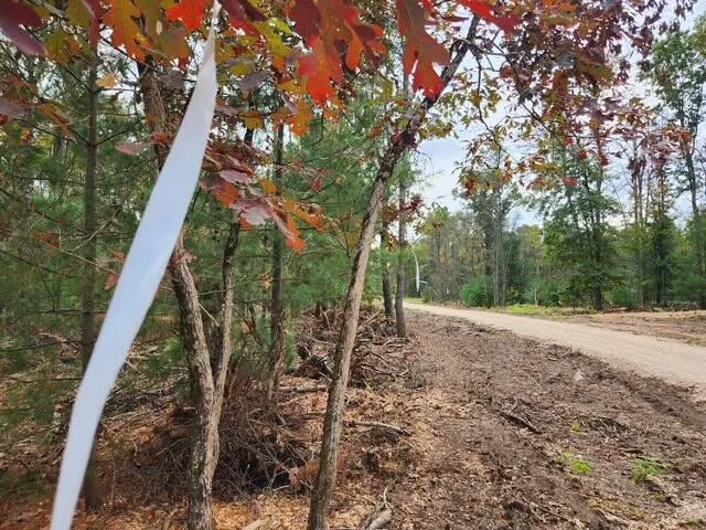 $32,900 | Parcel R West 12th Street, Baldwin, MI 49304