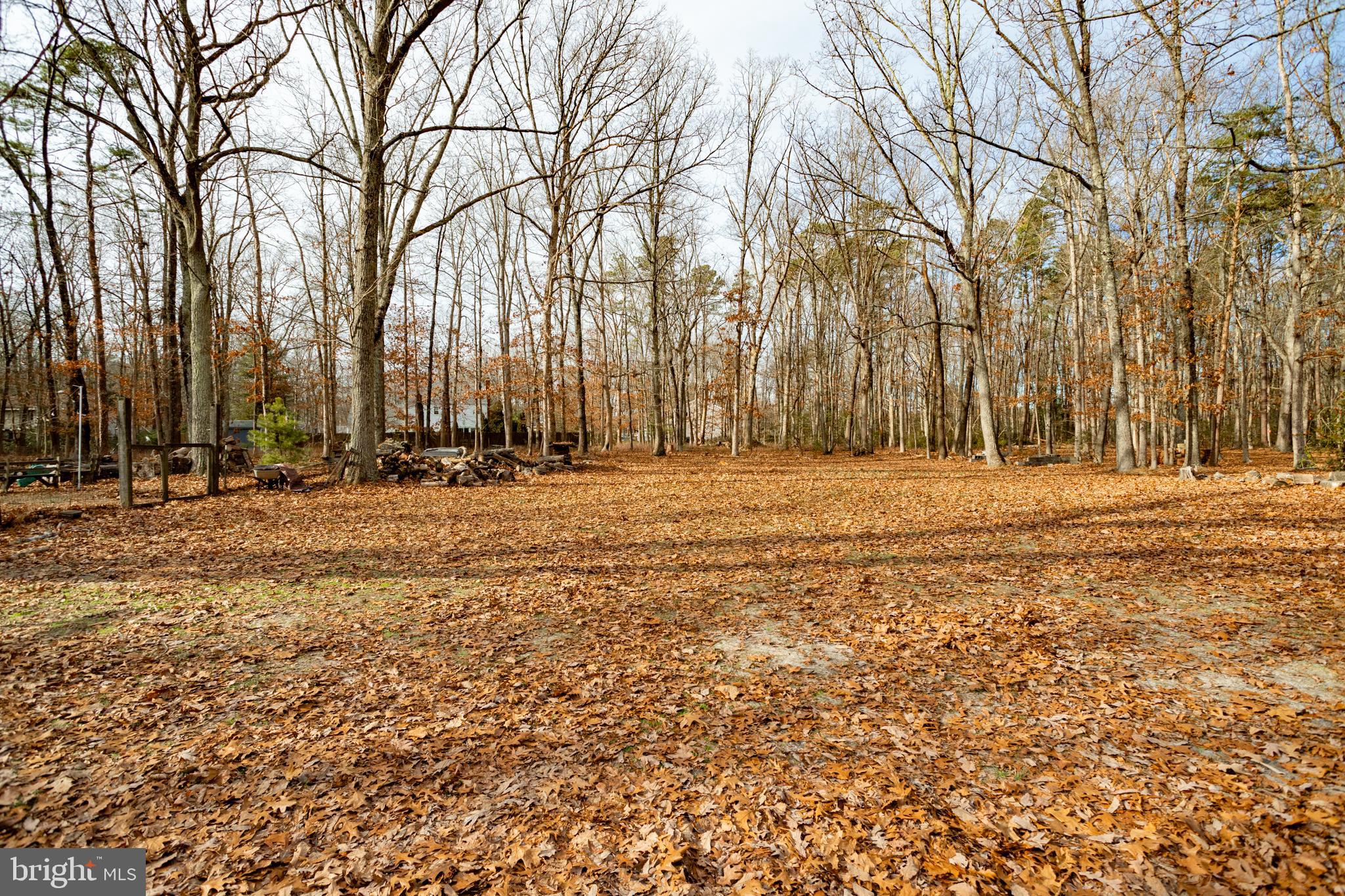 231 Oakshade Road Tabernacle, NJ 08088 - Photo 39 of 47