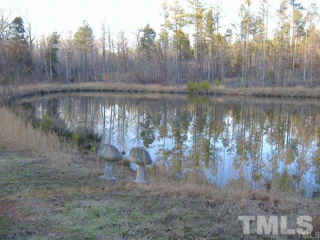 971 Luther Road Apex, NC 27523 - Photo 2 of 13 Gallery Image 2