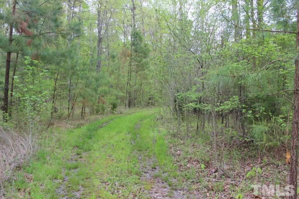 971 Luther Road Apex, NC 27523 - Photo 7 of 13 Gallery Image 7