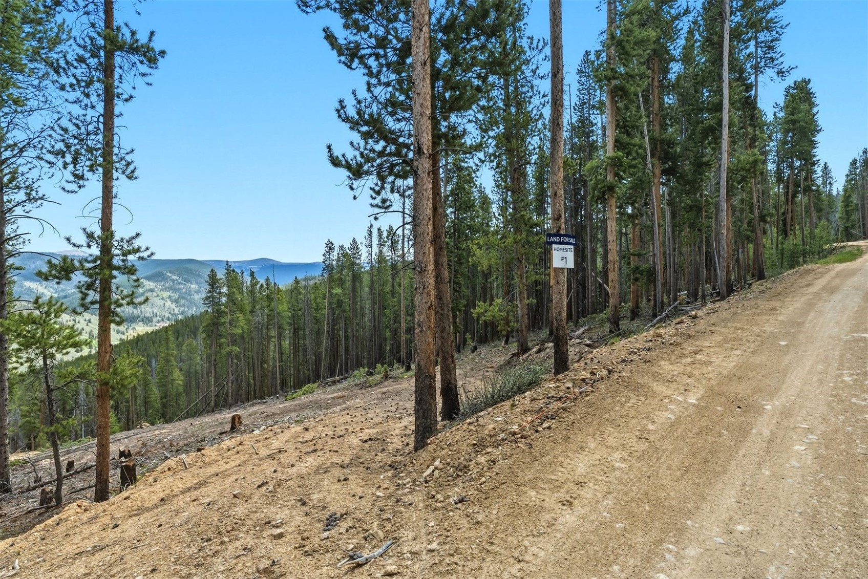 653 Summit Gulch Road Breckenridge, CO 80424 - Photo 13 of 18