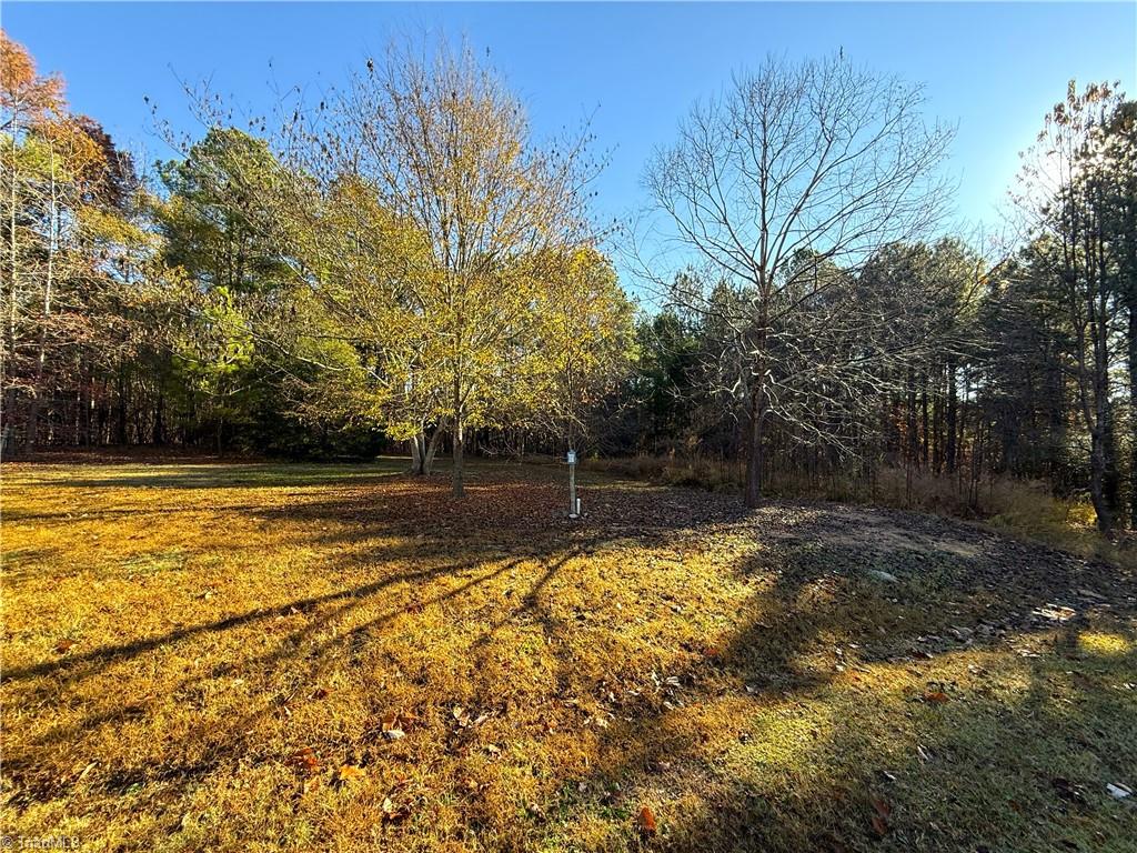 277 Riverhills Trail Rockingham, NC 28379 - Photo 11 of 15