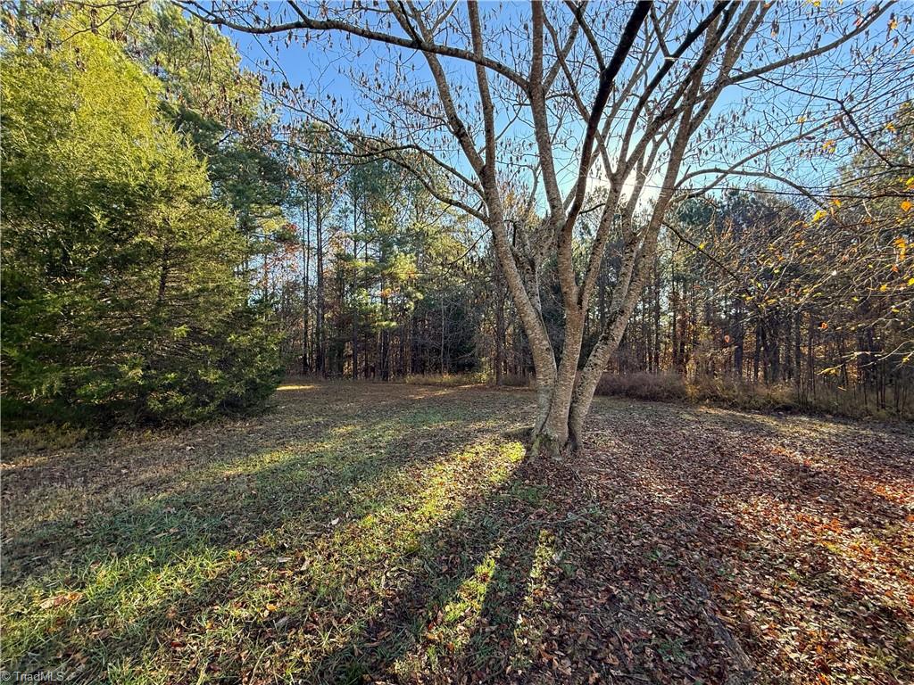 277 Riverhills Trail Rockingham, NC 28379 - Photo 13 of 15