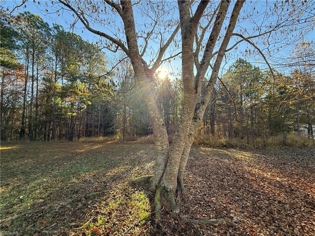 277 Riverhills Trail Rockingham, NC 28379 - Photo 14 of 15