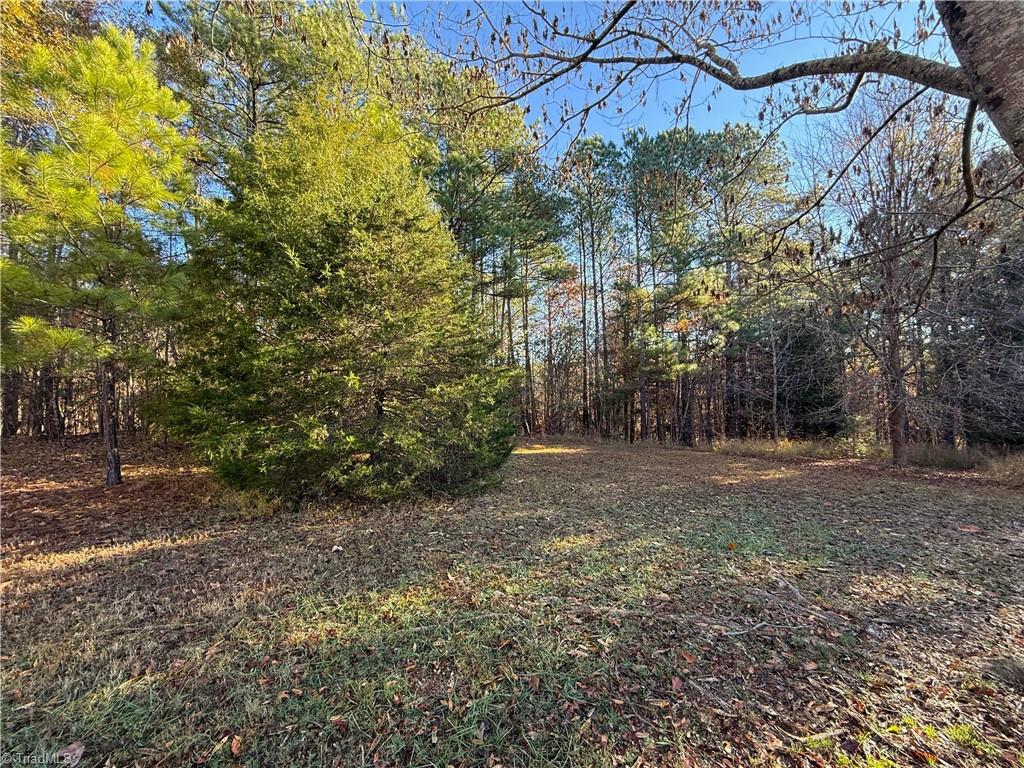 277 Riverhills Trail Rockingham, NC 28379 - Photo 15 of 15