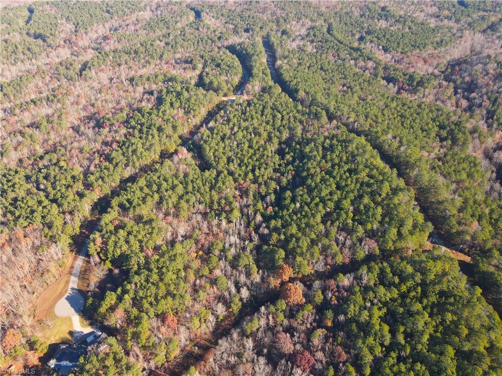 277 Riverhills Trail Rockingham, NC 28379 - Photo 9 of 15