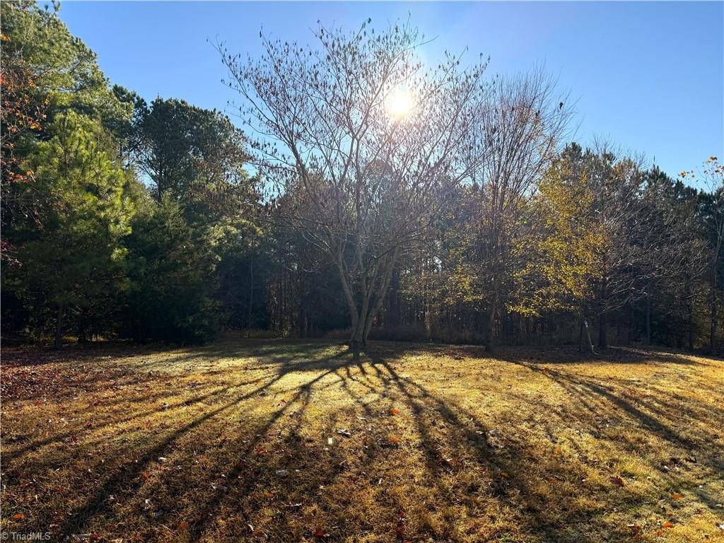 277 Riverhills Trail Rockingham, NC 28379 - Photo 10 of 15