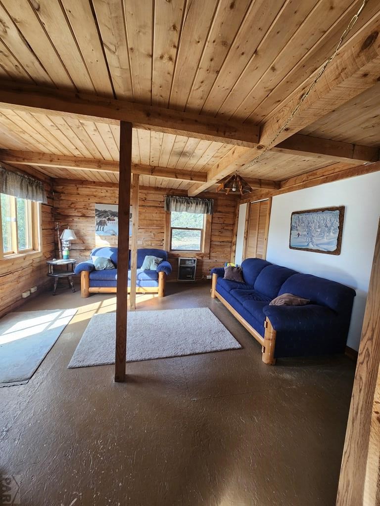 523-599 Ferris Road Westcliffe, CO 81252 - Photo 6 of 33