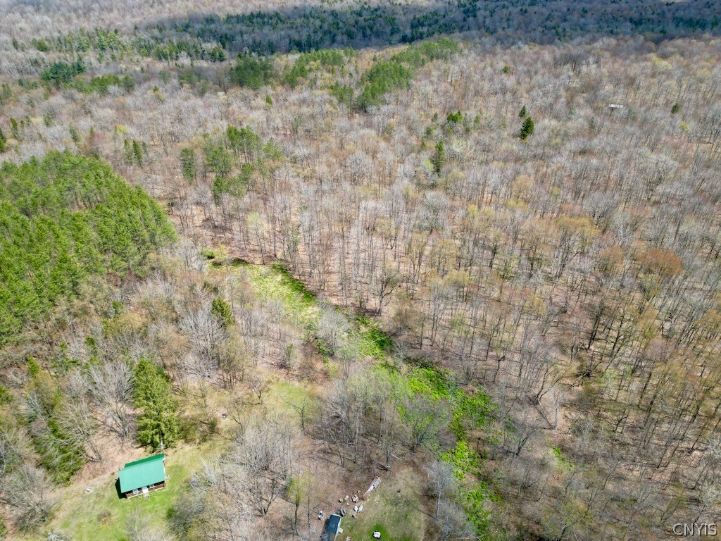 168 Carpenter Road Orwell, NY 13144 - Photo 36 of 43