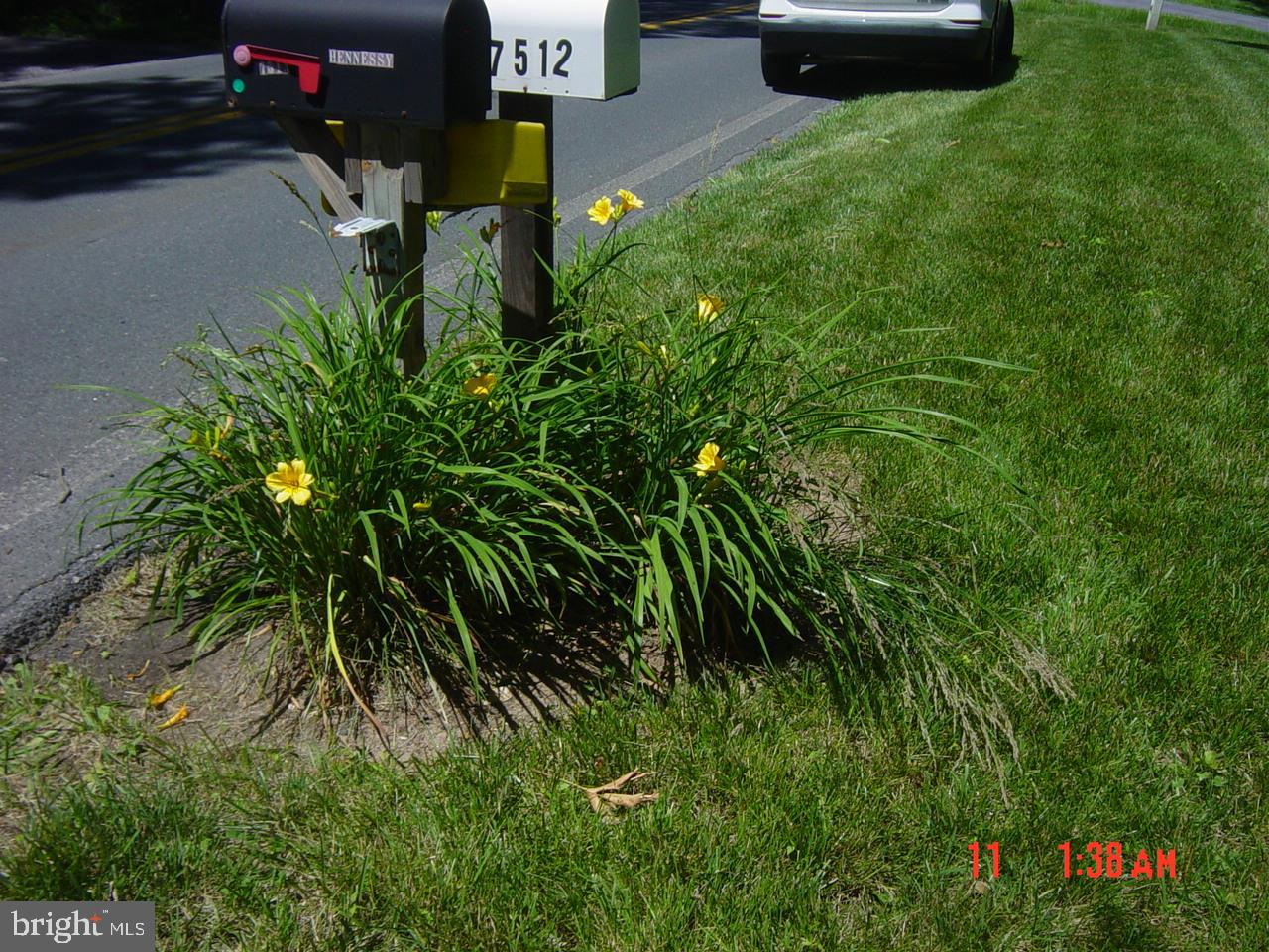 7513 Gaither Road Sykesville, MD 21784 - Photo 8 of 41 Landscaping