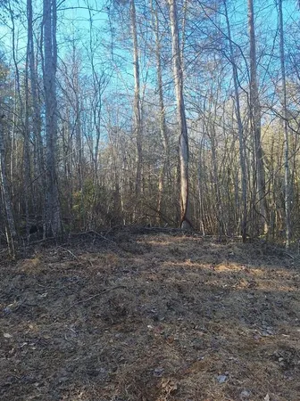 $118,650 | Lots Mill Creek Acres, Blue Ridge, GA 30513