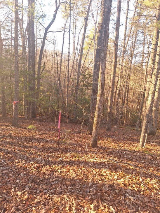 Lots Mill Creek Acres Blue Ridge, GA 30513 - Photo 11 of 11