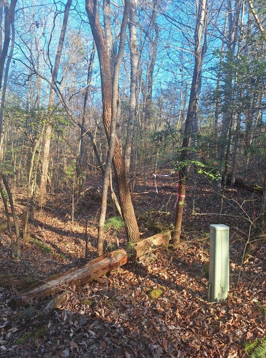 Lots Mill Creek Acres Blue Ridge, GA 30513 - Photo 8 of 11