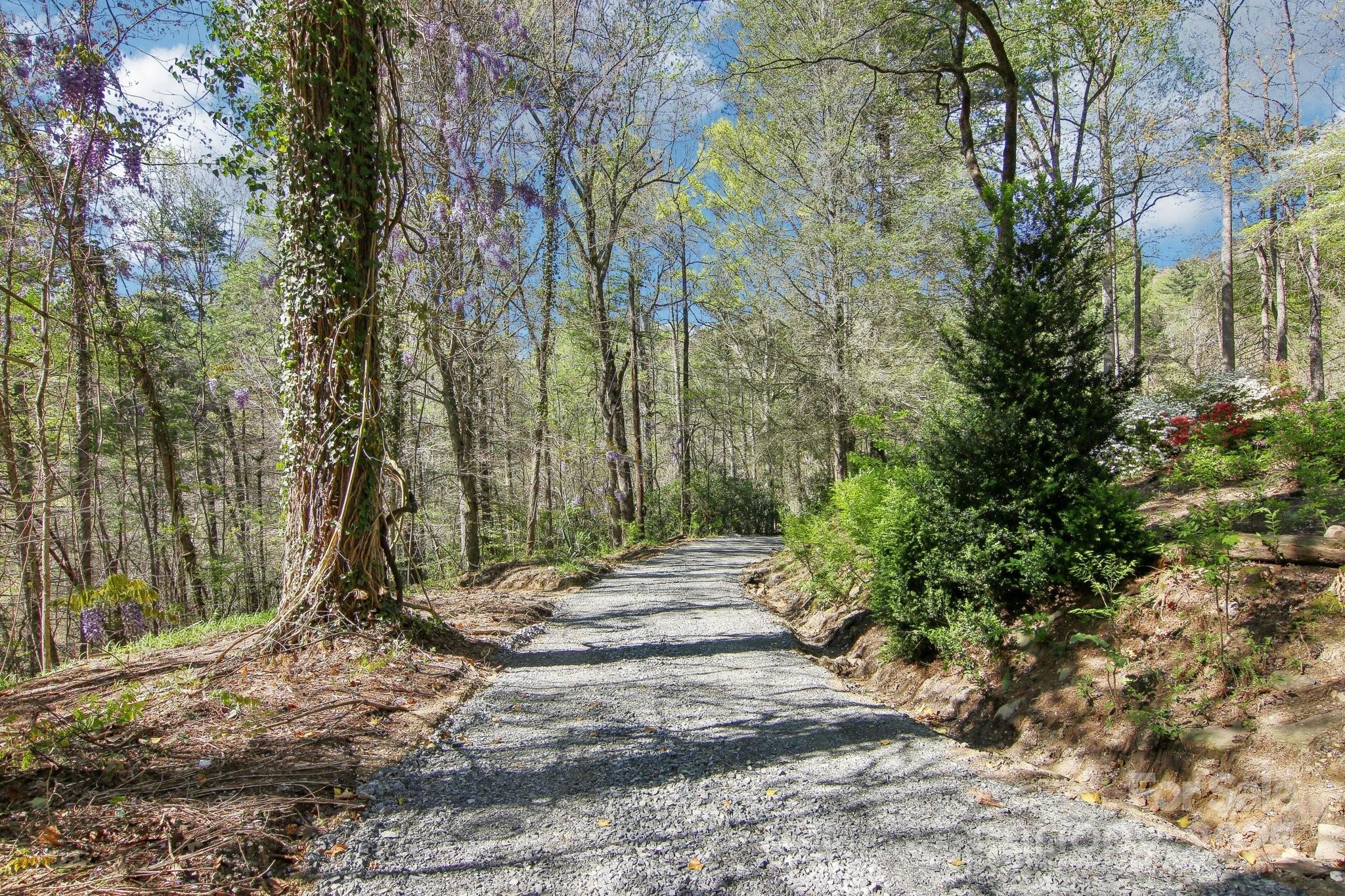 3233 Hebron Road Hendersonville, NC 28739 - Photo 4 of 47 Gallery Image 4