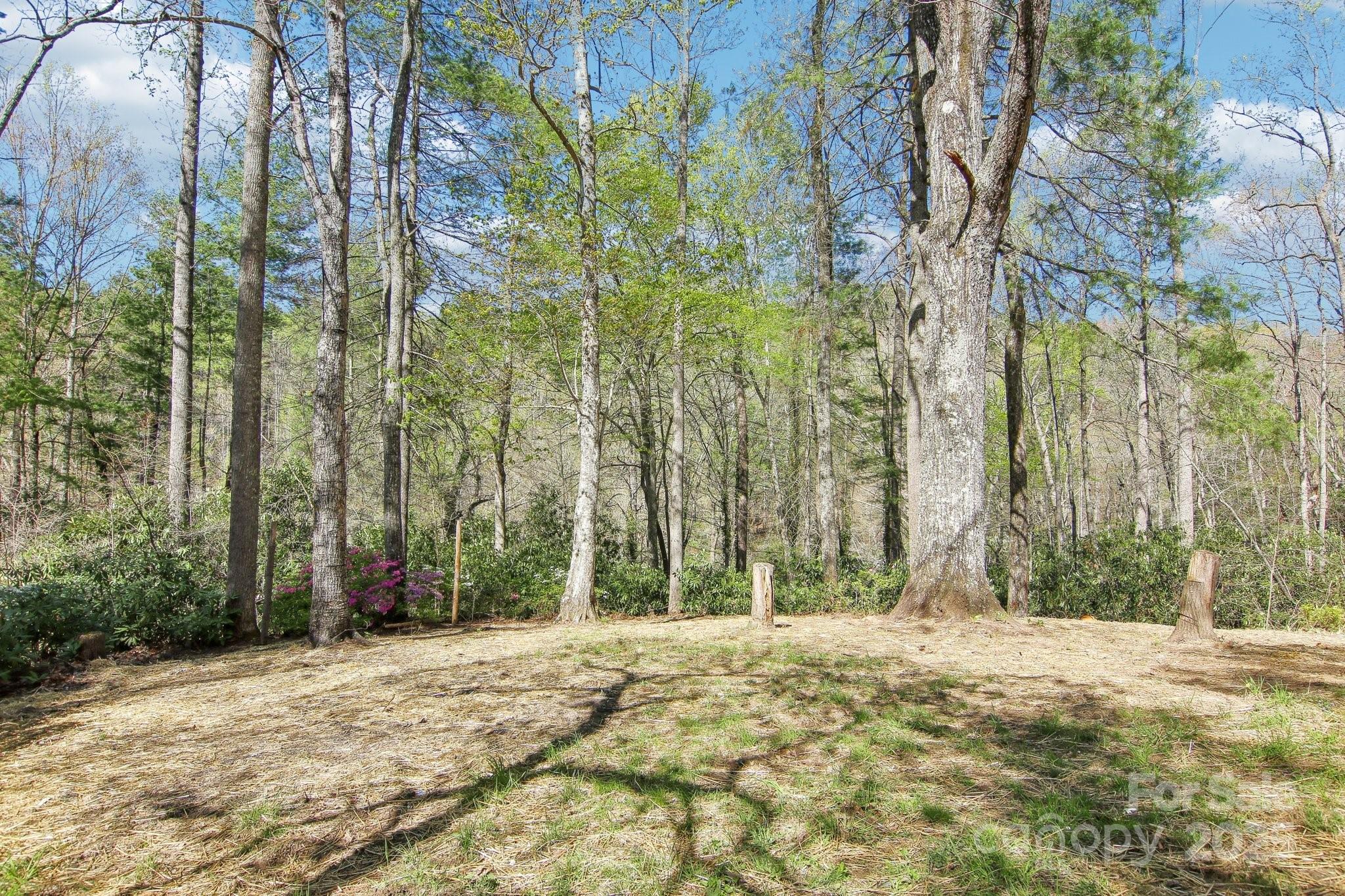 3233 Hebron Road Hendersonville, NC 28739 - Photo 9 of 47 Gallery Image 9