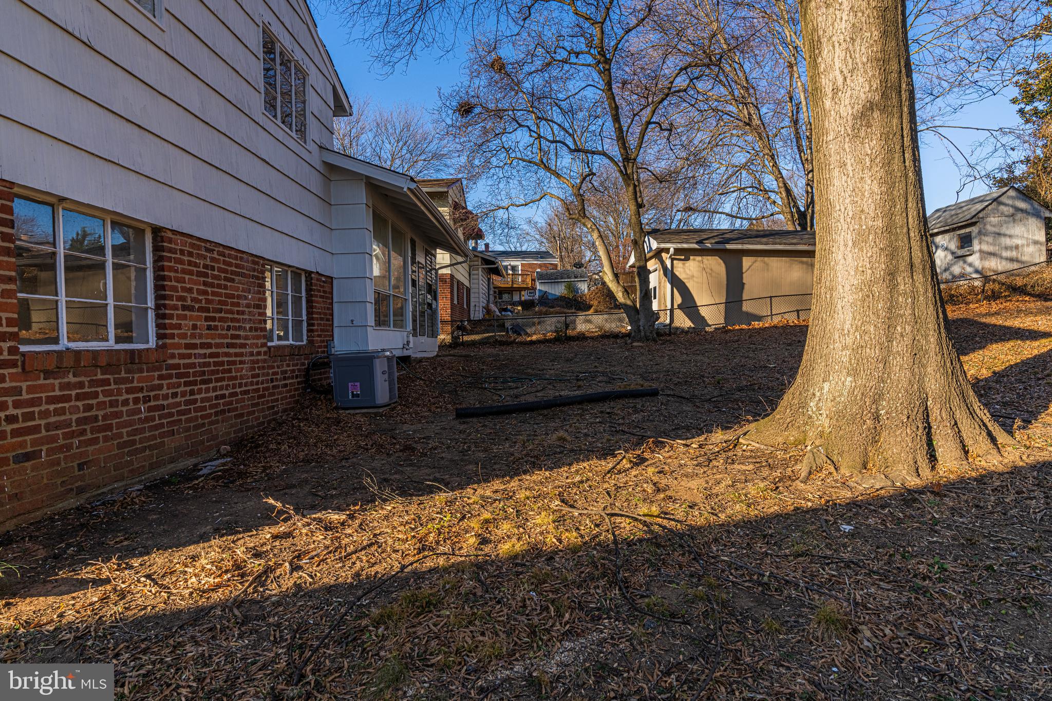 11819 Pittson Road Silver Spring, MD 20906 - Photo 5 of 31 Backyard with matue tree