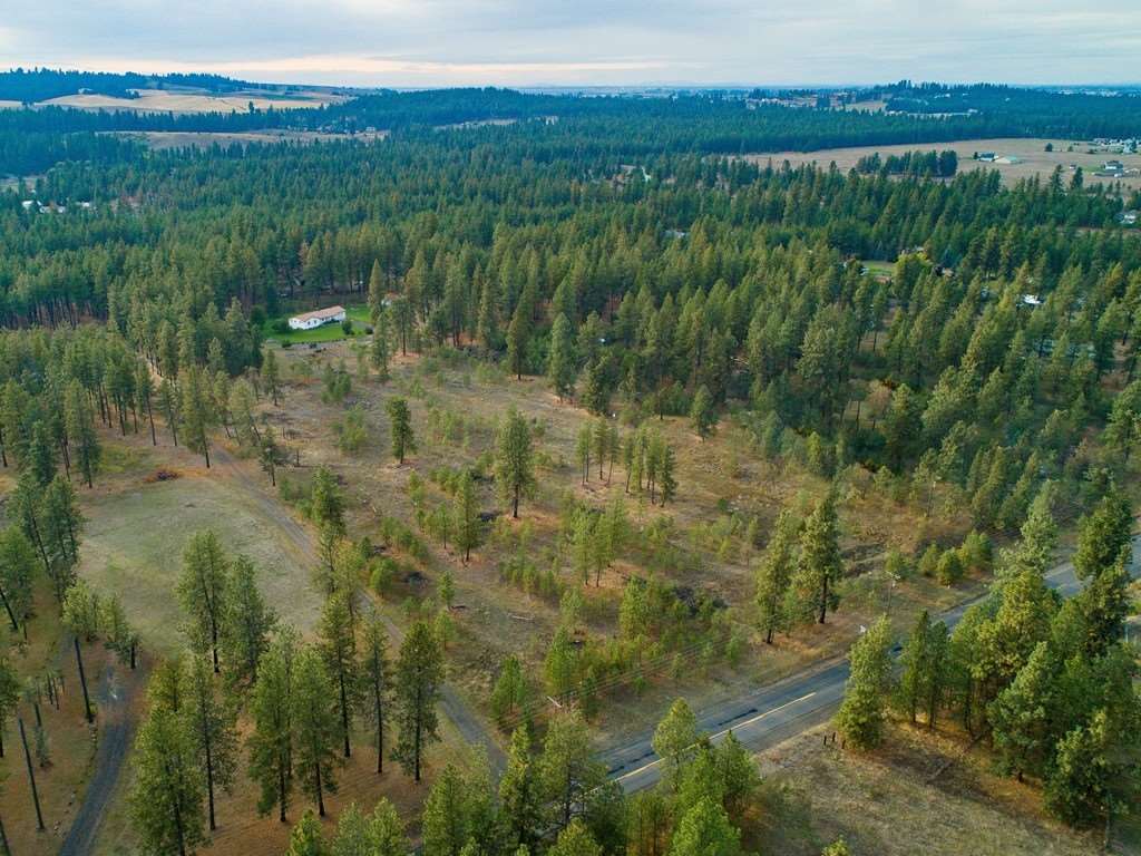 10301 South Spotted Road Cheney, WA 99004 - Photo 12 of 13