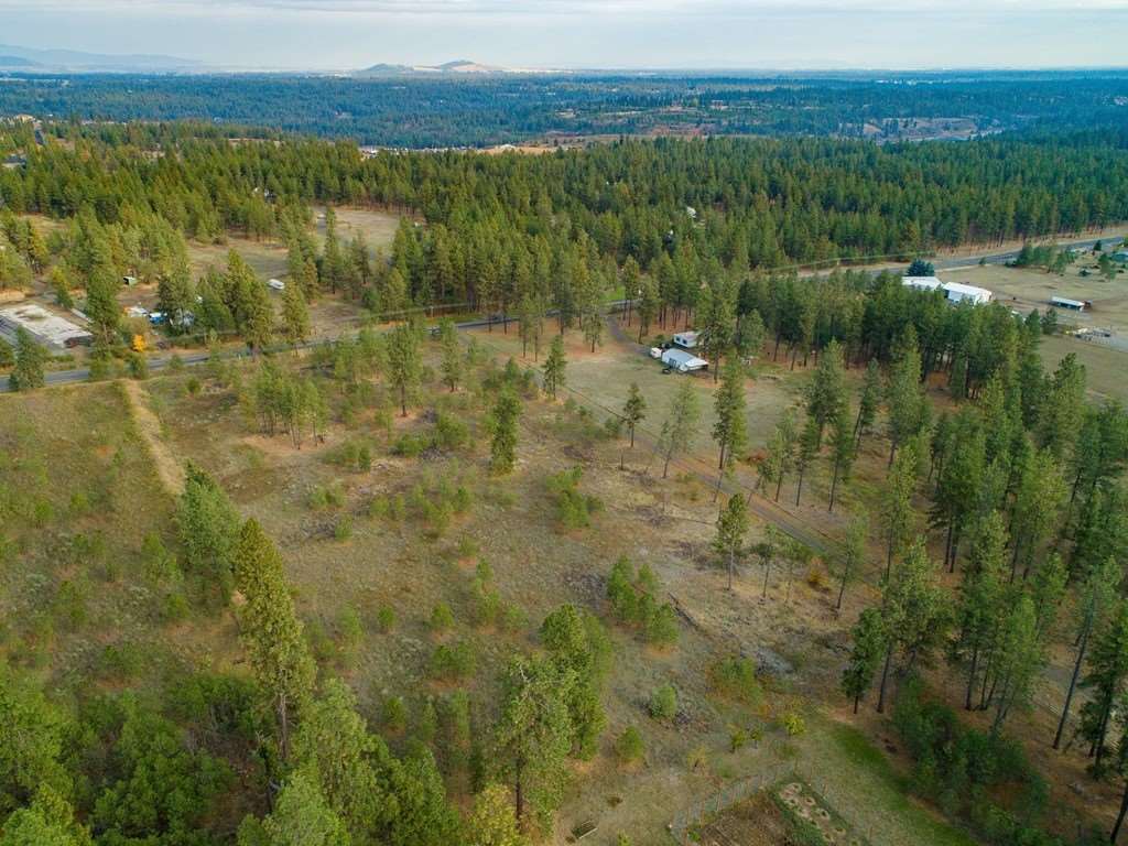 10301 South Spotted Road Cheney, WA 99004 - Photo 6 of 13