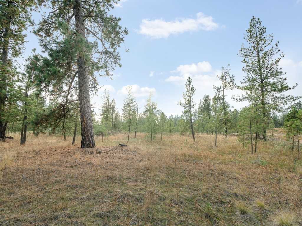 10301 South Spotted Road Cheney, WA 99004 - Photo 7 of 13