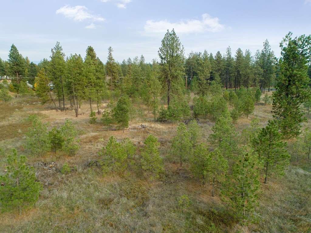 10301 South Spotted Road Cheney, WA 99004 - Photo 8 of 13