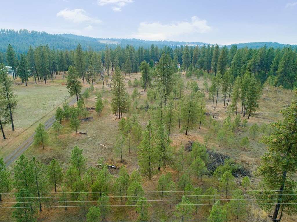 10301 South Spotted Road Cheney, WA 99004 - Photo 10 of 13