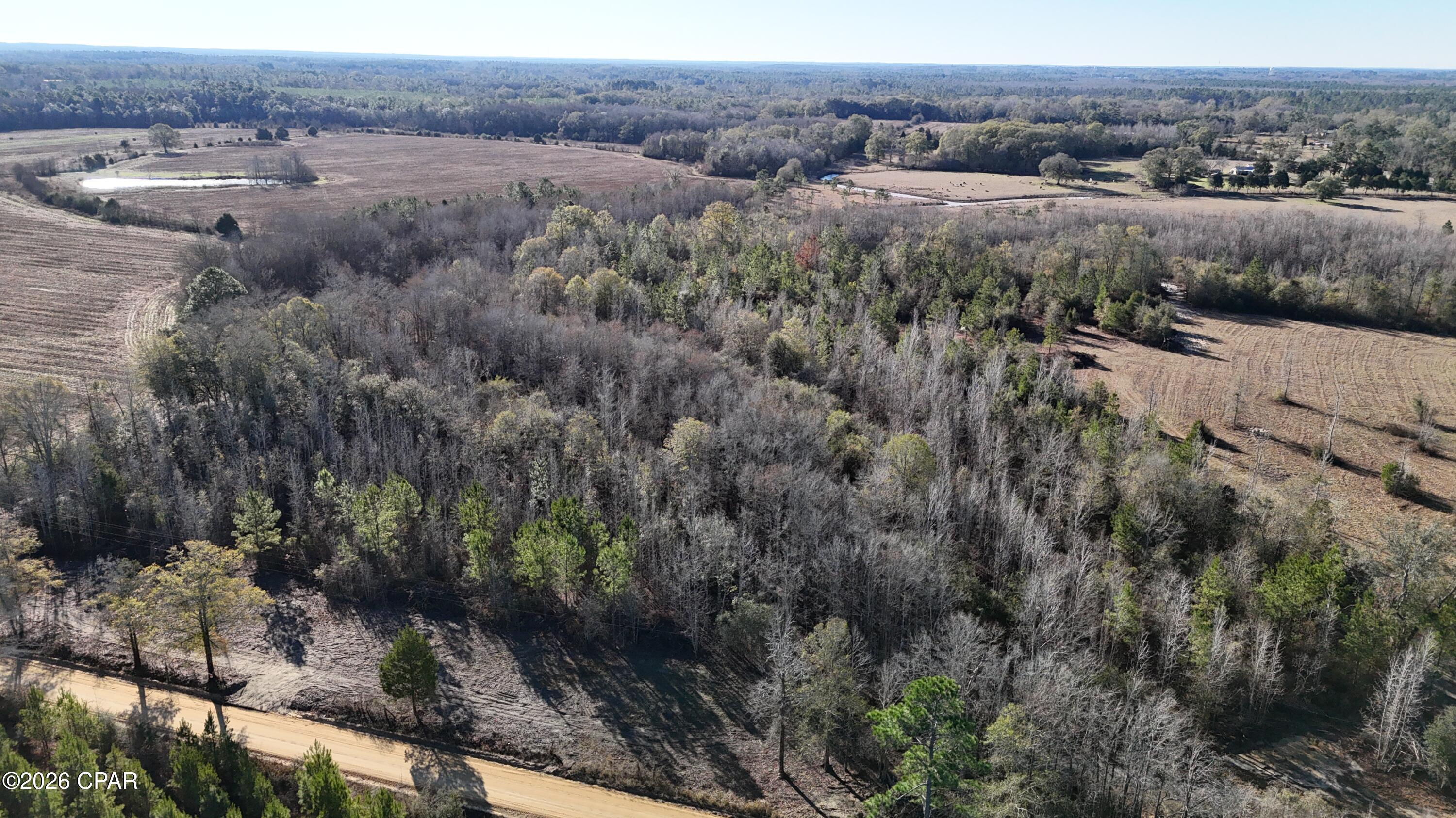 3120 Mount Olive Road Bonifay, FL 32425 - Photo 3 of 11