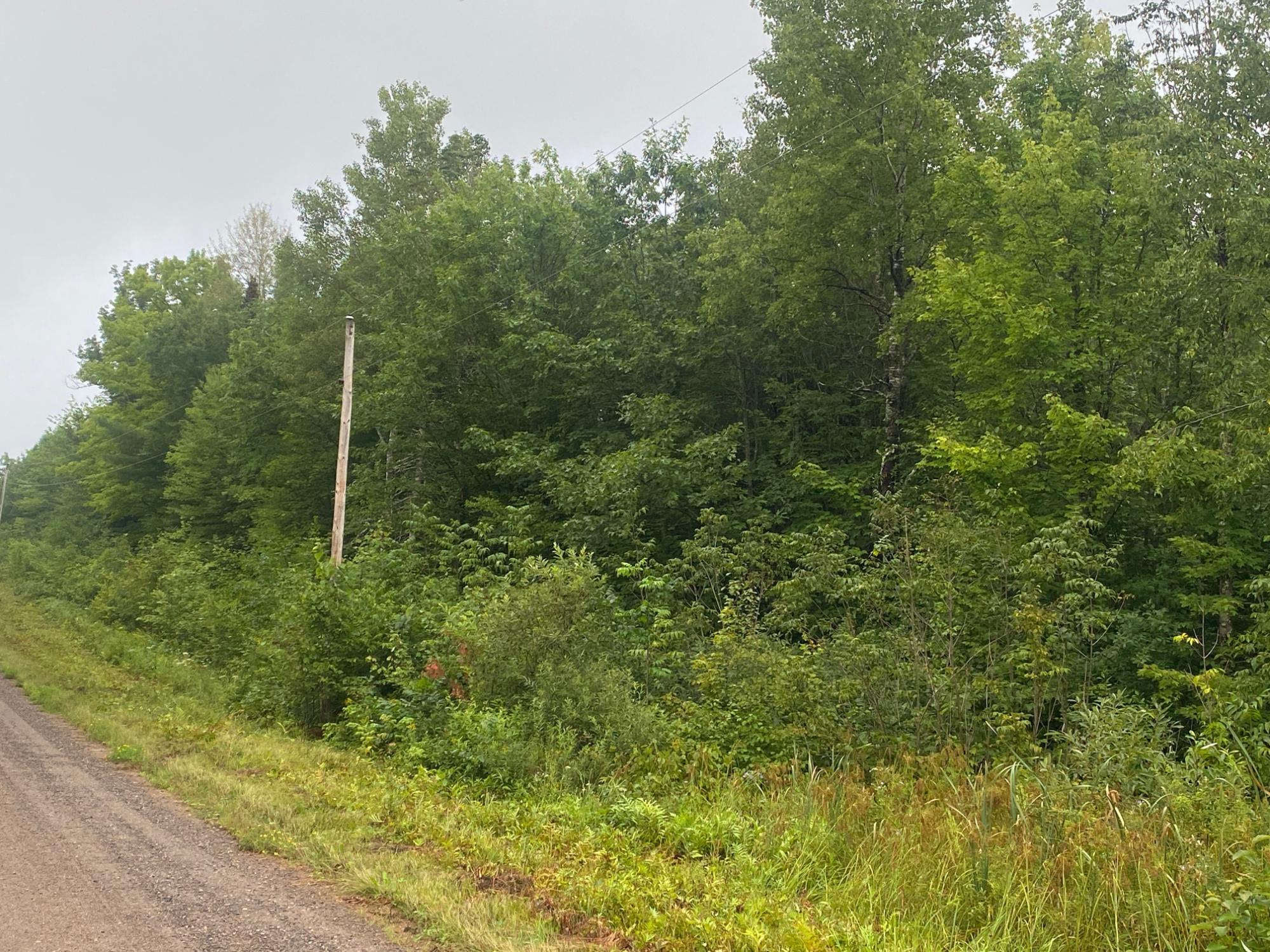 On Uncle Toms Road Winter, WI 54896 - Photo 3 of 6 Gallery Image 3