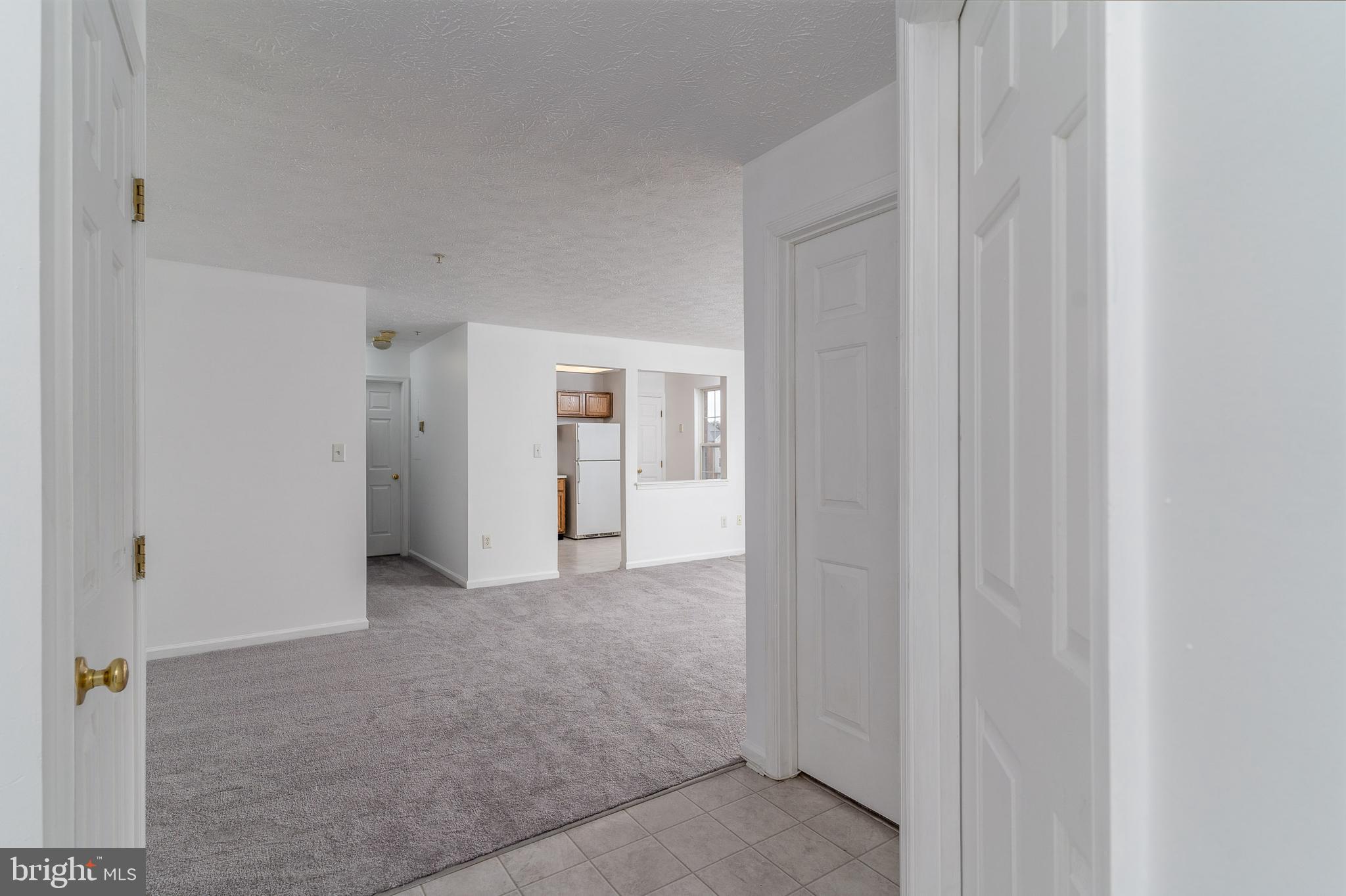 2442 Blue Spring Court, Unit 204 Odenton, MD 21113 - Photo 3 of 43 Foyer View