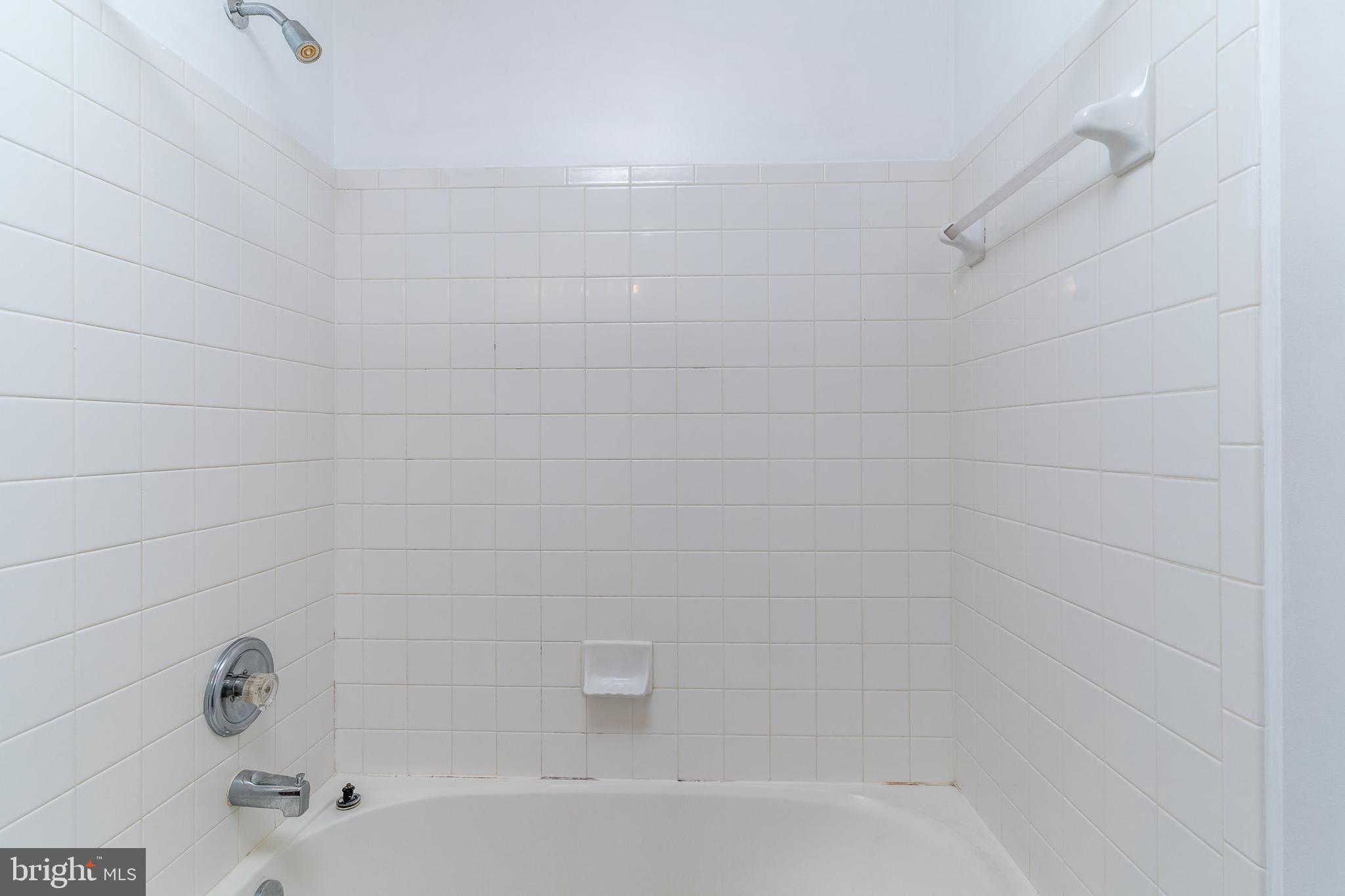 2442 Blue Spring Court, Unit 204 Odenton, MD 21113 - Photo 34 of 43 Primary Bathroom (when empty)