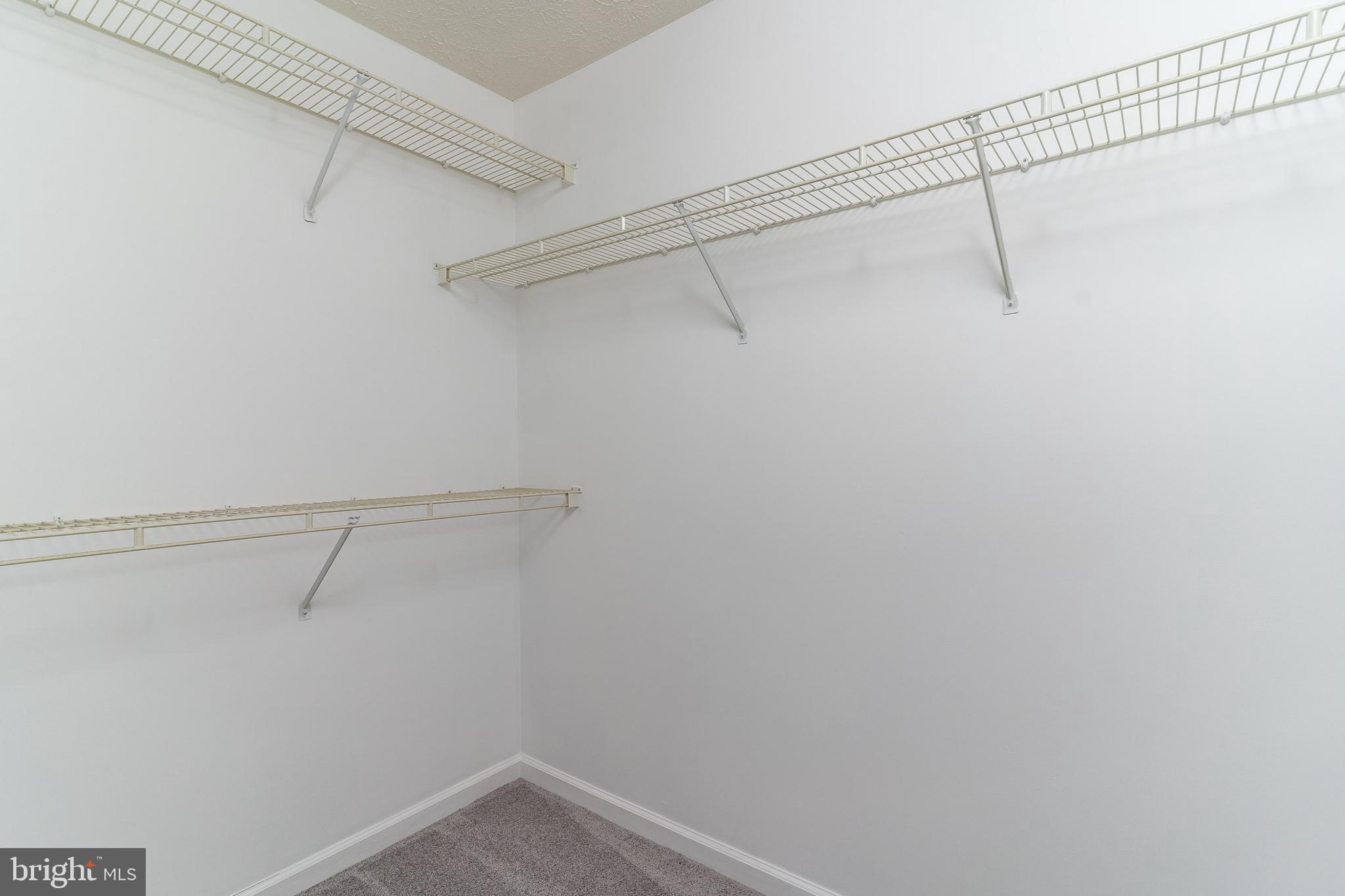 2442 Blue Spring Court, Unit 204 Odenton, MD 21113 - Photo 35 of 43 Walk In Closet