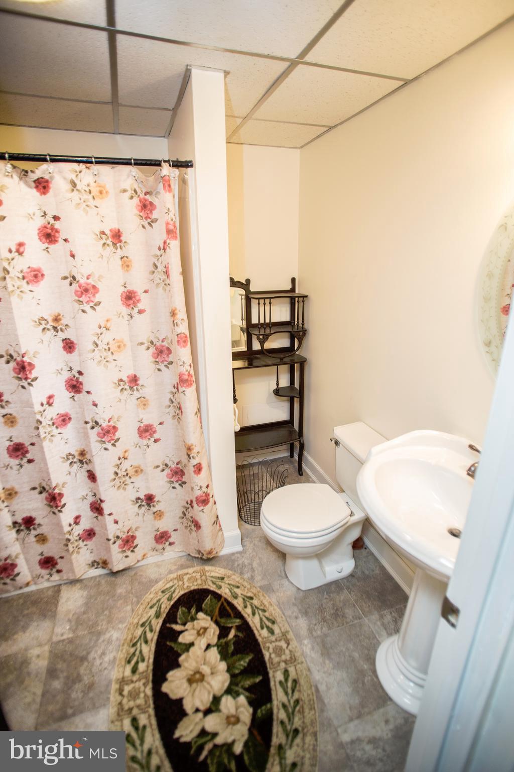 1761 Dr Jack Road Conowingo, MD 21918 - Photo 24 of 34 LL Bathroom