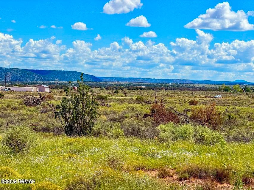 0 Hay Hollow Road Snowflake, AZ 85937 - Photo 3 of 20 Gallery Image 3